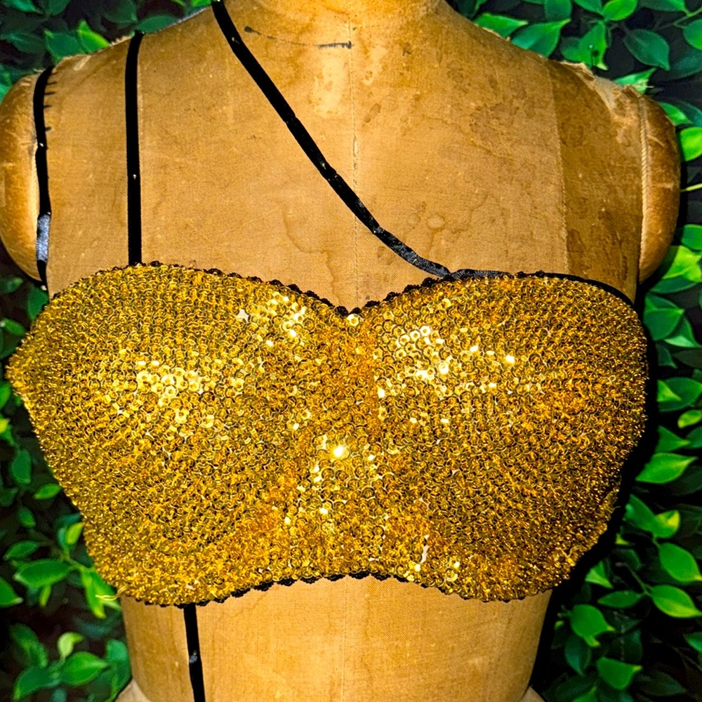 Selena Inspired Sequence Bustier - image 1